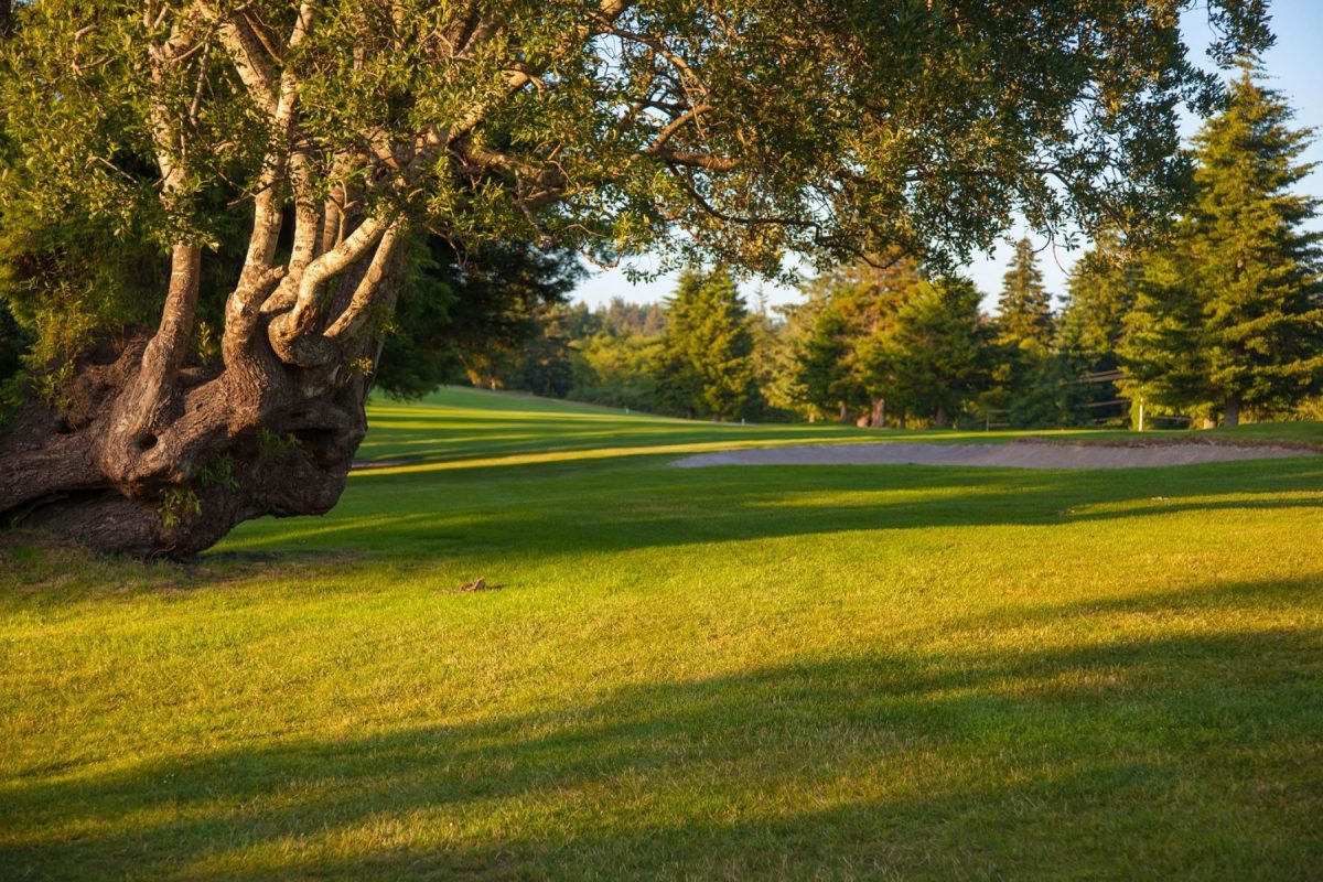 Lincoln city golf