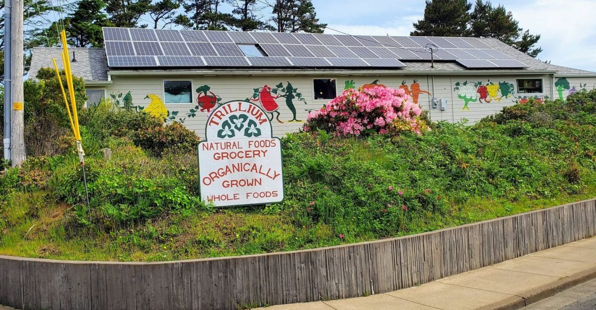 Grocery storefront with solar panels, a colorful mural of fruits and vegetables, and a sign reading 'Trillium Natural Foods Grocery—Organically Grown, Whole Foods.'
